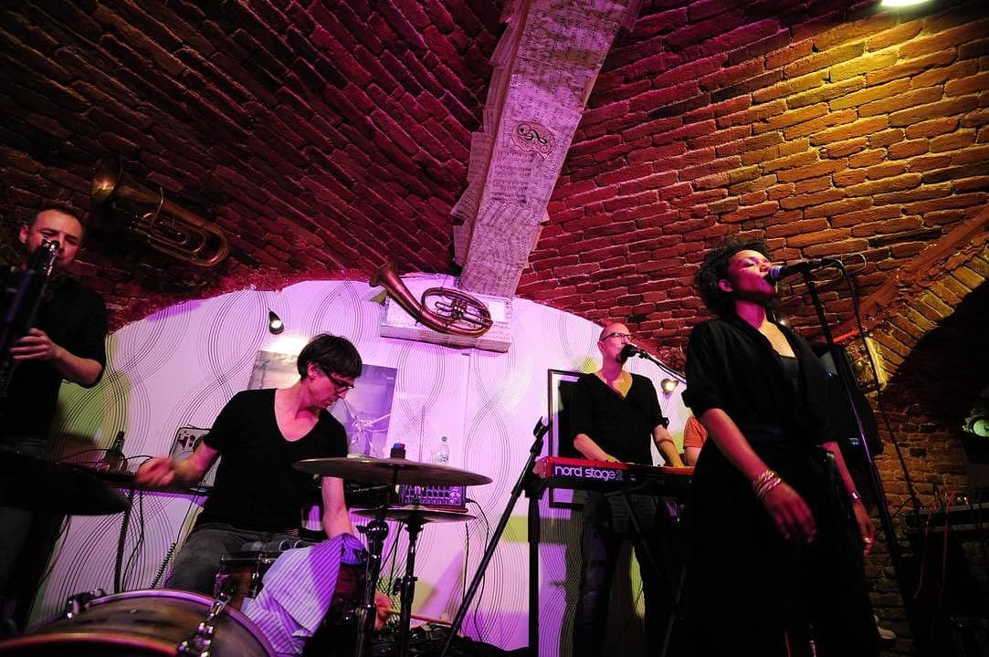 Concerte Live